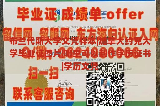 布兰代斯大学文凭样本|加拿大约克大学毕业证图片|哪里可以制作学历证书|学历文凭