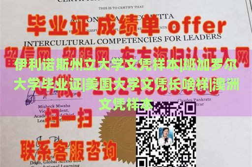 伊利诺伊州立大学文凭样本|班加罗尔大学毕业证|美国大学文凭长啥样|澳洲文凭样本