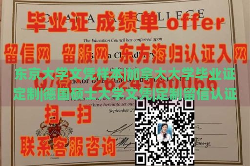 东京大学文凭样本|加拿大大学毕业证定制|德国硕士大学文凭|定制留信认证