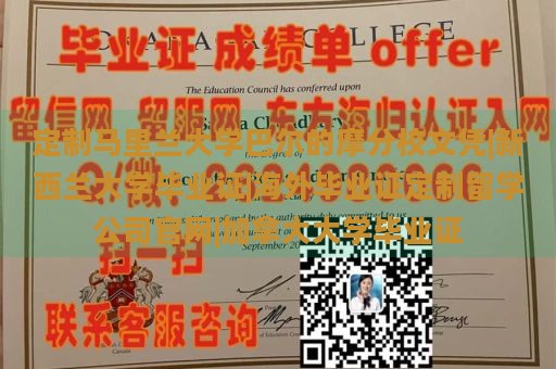 定制马里兰大学巴尔的摩分校文凭|新西兰大学毕业证|海外毕业证定制留学公司官网|加拿大大学毕业证