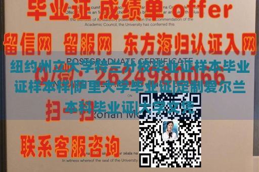 纽约州立大学特兰分校毕业证样本毕业证样本样|萨里大学毕业证|定制爱尔兰本科毕业证|大学文凭