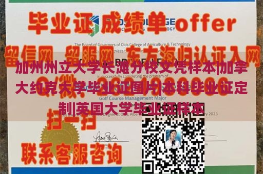 加州州立大学长滩分校文凭样本|加拿大约克大学毕业证图片|本科毕业证定制|英国大学毕业证样本