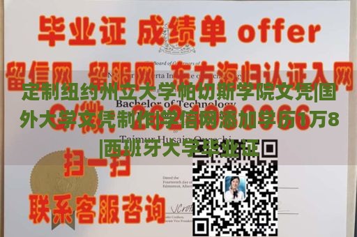 定制纽约州立大学帕切斯学院文凭|国外大学文凭制作|学信网添加学历1万8|西班牙大学毕业证