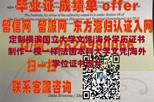 定制横滨国立大学文凭|海外学历证书制作一模一样|法国本科大学文凭|海外学位证书图片