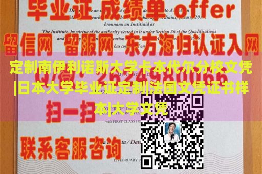 定制南伊利诺斯大学卡本代尔分校文凭|日本大学毕业证定制|法国文凭证书样本|大学文凭