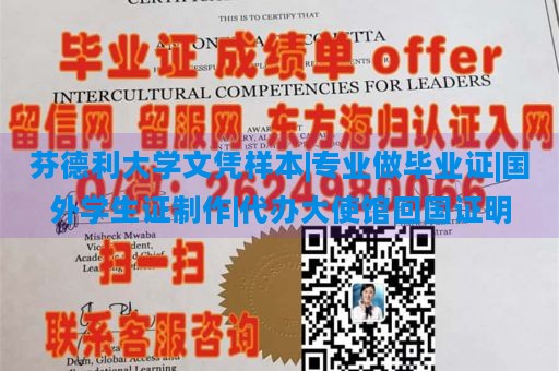 芬德利大学文凭样本|专业做毕业证|国外学生证制作|代办大使馆回国证明