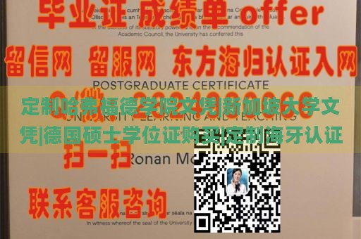 定制哈弗福德学院文凭|新加坡大学文凭|德国硕士学位证购买|定制海牙认证