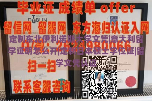 伊利诺伊大学厄巴纳-香槟分校学术氛围