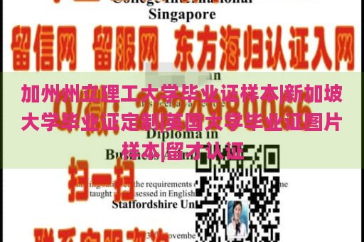 加州州立理工大学毕业证样本|新加坡大学毕业证定制|英国大学毕业证图片样本|留才认证