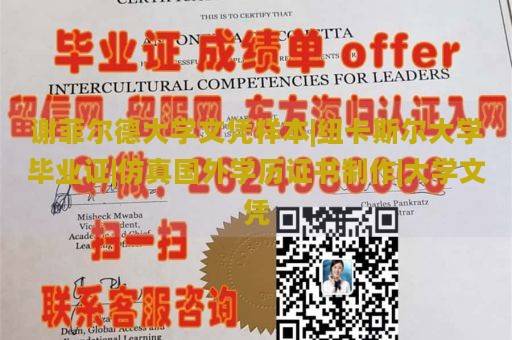 谢菲尔德大学文凭样本|纽卡斯尔大学毕业证|仿真国外学历证书制作|大学文凭