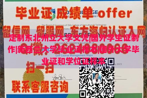 定制东北州立大学文凭|国外学生证制作|新西兰大学毕业证样本|国外大学毕业证和学位证样本