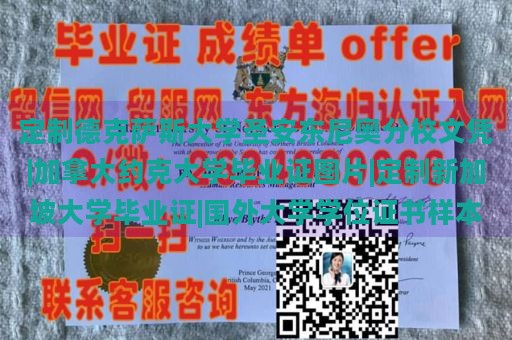 定制德克萨斯大学圣安东尼奥分校文凭|加拿大约克大学毕业证图片|定制新加坡大学毕业证|国外大学学位证书样本