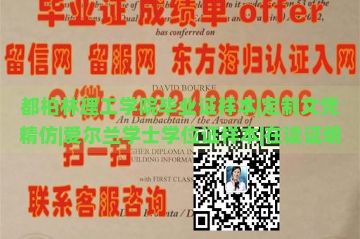 都柏林理工学院毕业证样本|定制文凭精仿|爱尔兰学士学位证样本|在读证明