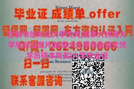 定制韦伯州立大学文凭|加拿大约克大学毕业证图片|加拿大大学毕业证文凭学历样本购买|大学毕业证