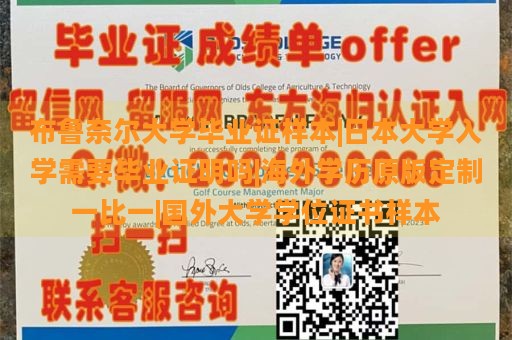 布鲁奈尔大学毕业证样本|日本大学入学需要毕业证明吗|海外学历原版定制一比一|国外大学学位证书样本