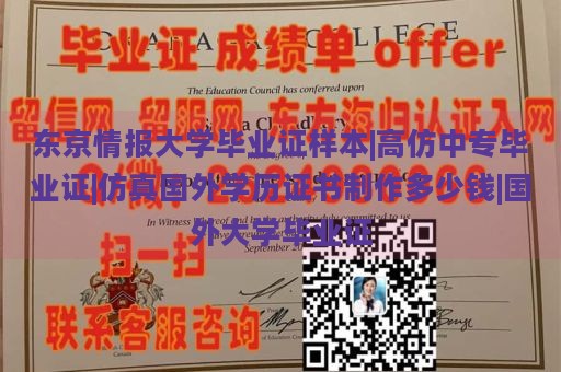 东京情报大学毕业证样本|高仿中专毕业证|仿真国外学历证书制作多少钱|国外大学毕业证