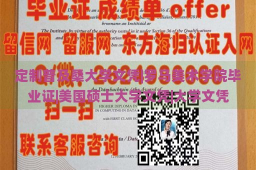 定制普及桑大学文凭|罗马美术学院毕业证|美国硕士大学文凭|大学文凭