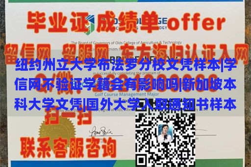 纽约州立大学布法罗分校文凭样本|学信网不验证学籍会有影响吗|新加坡本科大学文凭|国外大学入取通知书样本