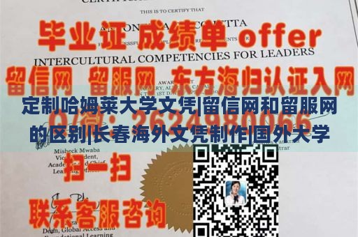 定制哈姆莱大学文凭|留信网和留服网的区别|长春海外文凭制作|国外大学