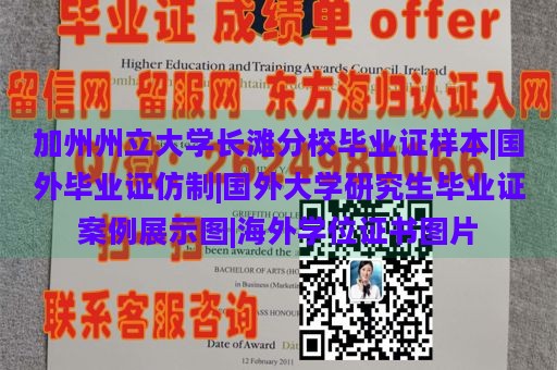 加州州立大学长滩分校毕业证样本|国外毕业证仿制|国外大学研究生毕业证案例展示图|海外学位证书图片