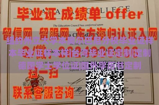 纽约州立大学本奥尔巴尼分校毕业证样本毕业证样本样|台湾毕业证定制|定制德国学士学位证|国外学历书定制