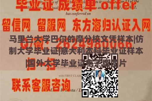 马里兰大学巴尔的摩分校文凭样本|仿制大学毕业证|意大利本科毕业证样本|国外大学毕业证电子版图片