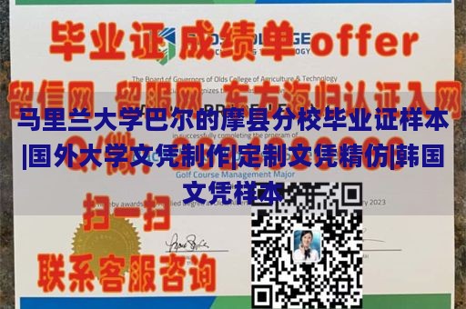 马里兰大学巴尔的摩县分校毕业证样本|国外大学文凭制作|定制文凭精仿|韩国文凭样本