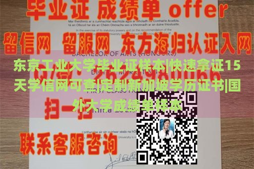 东京工业大学毕业证样本|快速拿证15天学信网可查|定制新加坡学历证书|国外大学成绩单样本