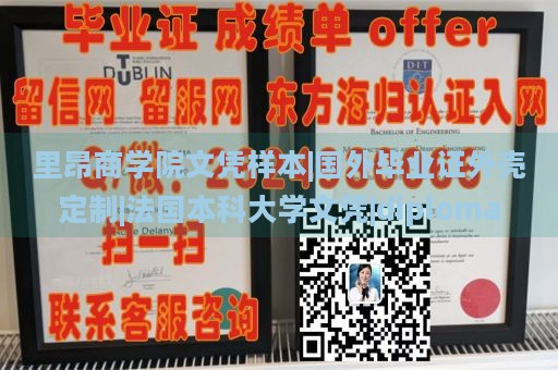 里昂商学院文凭样本|国外毕业证外壳定制|法国本科大学文凭|diploma