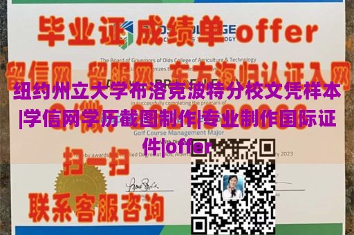 纽约州立大学布洛克波特分校文凭样本|学信网学历截图制作|专业制作国际证件|offer