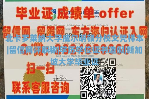 北卡罗莱纳大学威尔明顿分校文凭样本|留信网评职称|学历学位证书造假|新加坡大学毕业证