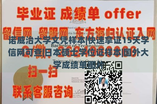 诺威治大学文凭样本|快速拿证15天学信网可查|日本硕士学位证样本|国外大学成绩单图片