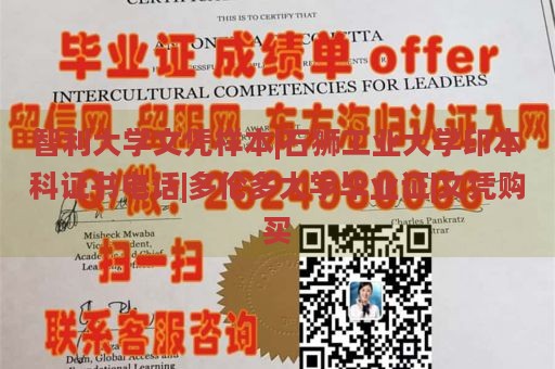 智利大学文凭样本|石狮工业大学印本科证书电话|多伦多大学毕业证|文凭购买