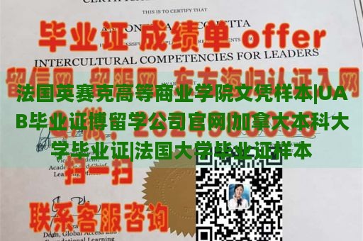 法国英赛克高等商业学院文凭样本|UAB毕业证博留学公司官网|加拿大本科大学毕业证|法国大学毕业证样本