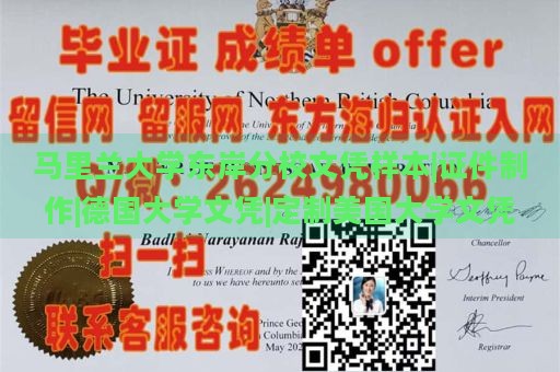 马里兰大学东岸分校文凭样本|证件制作|德国大学文凭|定制美国大学文凭