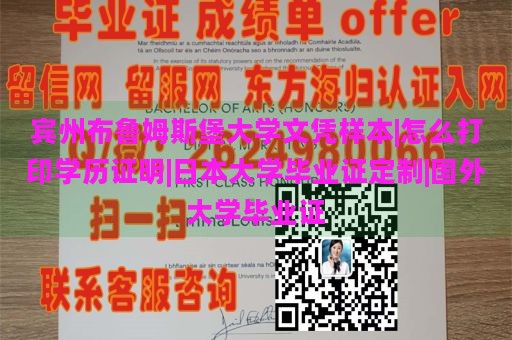 宾州布鲁姆斯堡大学文凭样本|怎么打印学历证明|日本大学毕业证定制|国外大学毕业证