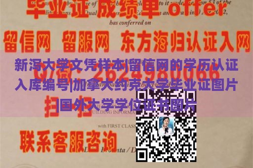 新泻大学文凭样本|留信网的学历认证入库编号|加拿大约克大学毕业证图片|国外大学学位证书图片