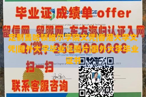 定制曼哈顿维尔学院文凭|香港大学文凭|国外大学毕业证图片|国外大学毕业证书