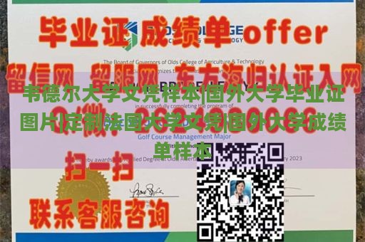 韦德尔大学文凭样本|国外大学毕业证图片|定制法国大学文凭|国外大学成绩单样本