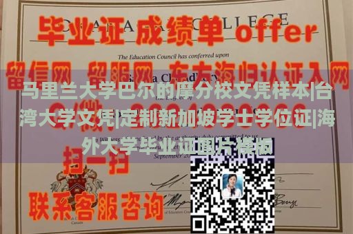 马里兰大学巴尔的摩分校文凭样本|台湾大学文凭|定制新加坡学士学位证|海外大学毕业证图片模版