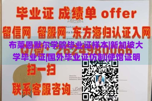 布莱恩默尔学院毕业证样本|新加坡大学毕业证|国外毕业证仿制|使馆证明