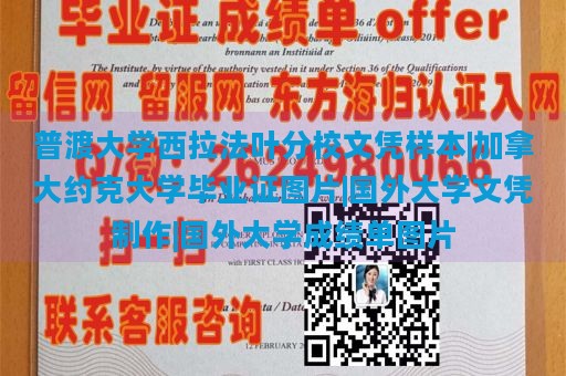 普渡大学西拉法叶分校文凭样本|加拿大约克大学毕业证图片|国外大学文凭制作|国外大学成绩单图片