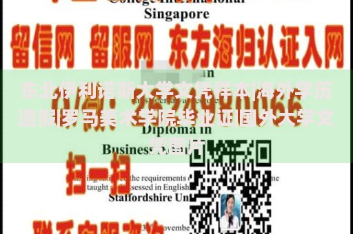 东北伊利诺斯大学文凭样本|海外学历造假|罗马美术学院毕业证|国外大学文凭图片