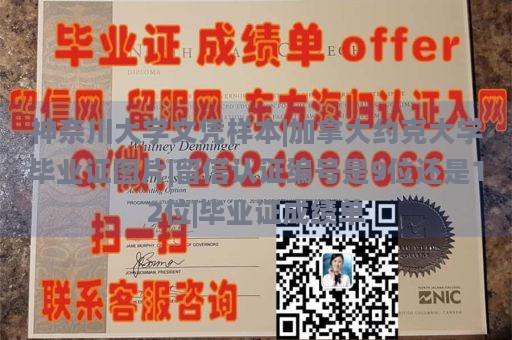 神奈川大学文凭样本|加拿大约克大学毕业证图片|留信认证编号是9位还是12位|毕业证成绩单