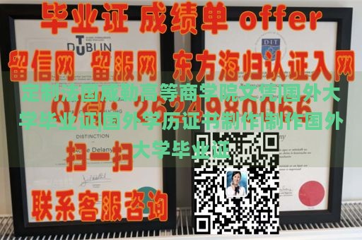 定制法国威勒高等商学院文凭|国外大学毕业证|国外学历证书制作|制作国外大学毕业证