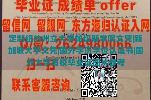 定制纽约州立大学帕切斯学院文凭|新加坡大学文凭|国外学历学位认证书|国外大学高校毕业证图片参考