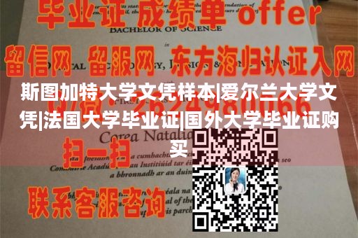 斯图加特大学文凭样本|爱尔兰大学文凭|法国大学毕业证|国外大学毕业证购买