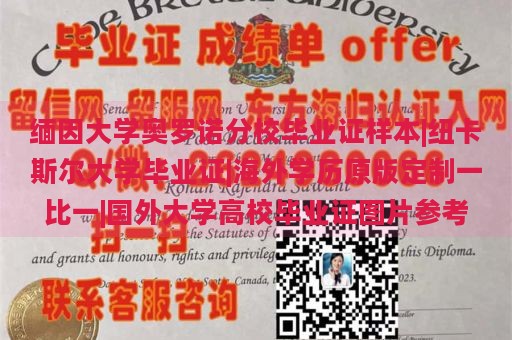 缅因大学奥罗诺分校毕业证样本|纽卡斯尔大学毕业证|海外学历原版定制一比一|国外大学高校毕业证图片参考