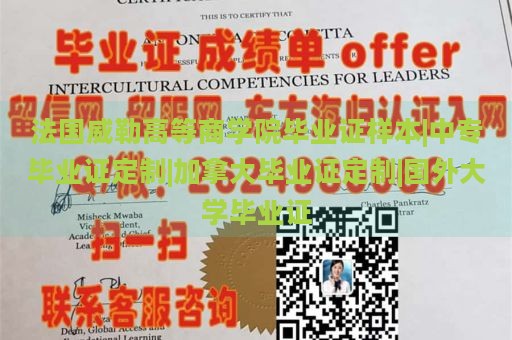 法国威勒高等商学院毕业证样本|中专毕业证定制|加拿大毕业证定制|国外大学毕业证