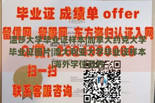 温莎大学毕业证样本|加拿大约克大学毕业证图片|澳大利亚大学毕业证样本|海外学位证书